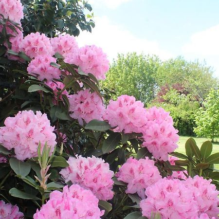 Le Clos Des Roses Saint-Règle 외부 사진